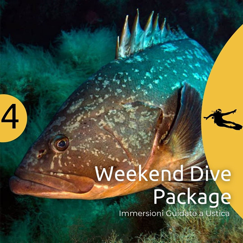 Ustica Weekend - 4 Dives